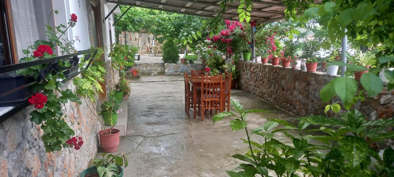 Roleo Guest House Lini المظهر الخارجي الصورة